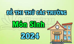 Đề thi thử TN THPT 2024 - Môn Sinh Học - Các trường trên cả nước - File word có lời giải(Đang cập nhật)