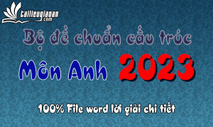 Bộ đề phát triển theo cấu trúc đề minh họa 2023 - Môn Tiếng Anh - File word có ma trận lời giải chi tiết
