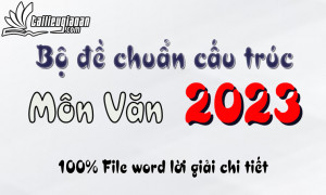 Bộ đề phát triển theo cấu trúc đề minh họa 2023 - Môn Văn - File word có ma trận lời giải chi tiết